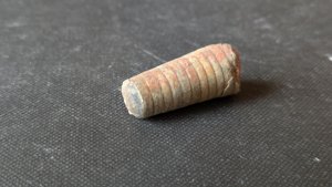 Orthoceratoid - ~3cm. The chamber walls can be seen.