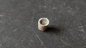 Orthoceratoid - ~1cm. Cross-section. The siphuncle and the convex surface of the chamber can be seen.