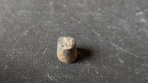 Orthoceratoid - ~1cm. Cross-section. The siphuncle can be seen,