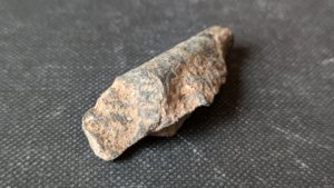 Orthoceratoid - 2-3cm. Cross-section