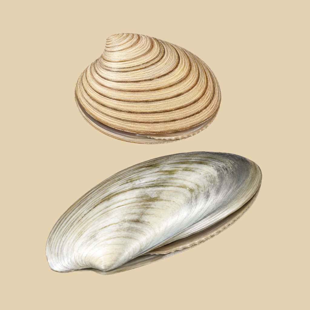 Artistic depiction of Cardinia