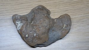 Possible dinosaur footprint cast.