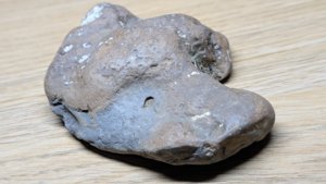 Possible dinosaur footprint cast.