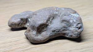 Possible dinosaur footprint cast.