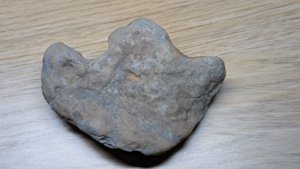 Possible dinosaur footprint cast.
