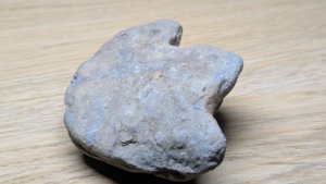 Possible dinosaur footprint cast.