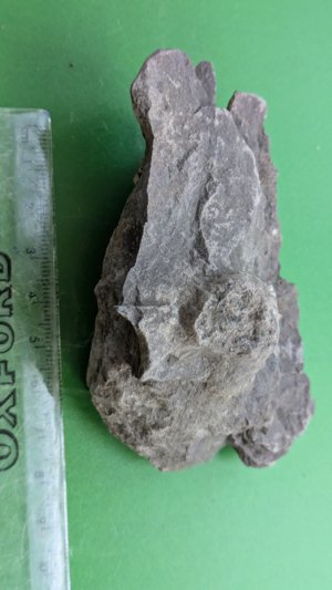 Unknown. Measurement ~4 cm.