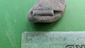 Belemnite in matrix - Belemnite length ~1.5 cm.