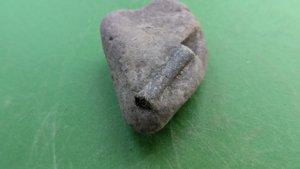 Belemnite in matrix