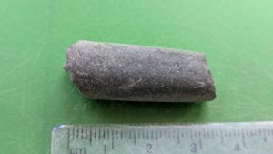 Belemnite - Length ~3 cm.