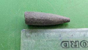 Apex of a belemnite - Length ~4 cm.