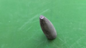 Apex of a belemnite - Vertical view