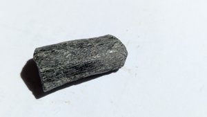 Elongated fossil (unidentified)