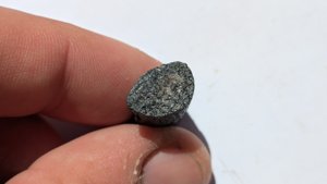 Elongated fossil (unidentified) - Cross-section