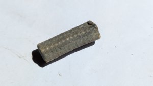 Crinoid stem