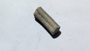 Crinoid stem
