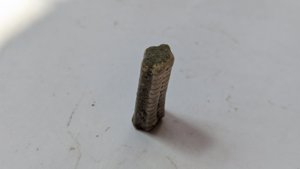 Crinoid stem - Cross-section