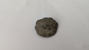 Nummulite