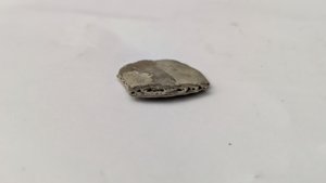 Nummulite - Side view. The cross-section at the fracture reveals the inner structure