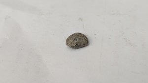 Nummulite