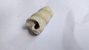 Turritella, fragment