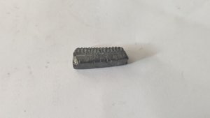 Mouthplate piece of Aetobatus irregularis