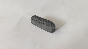 Mouthplate piece of Aetobatus irregularis