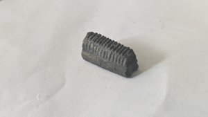 Mouthplate piece of Aetobatus irregularis