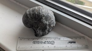 Measurement 7-8cm