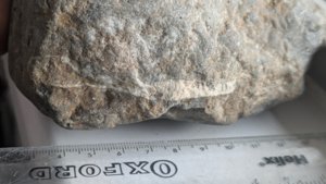 Measurement 7-8cm