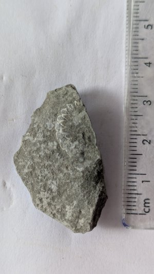 Measurement 3-4cm