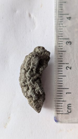 Measurement 2.5-3cm