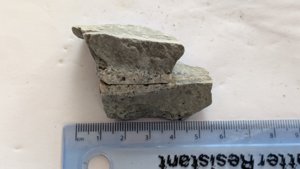 Belemnite, 5-6cm