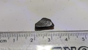 Shell fragment, ~1.2cm