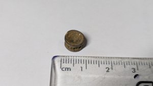 Vertebra - measurement ~0.8cm