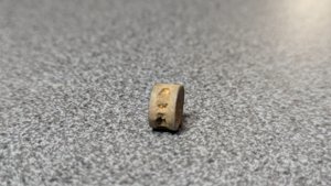 Vertebra - side view