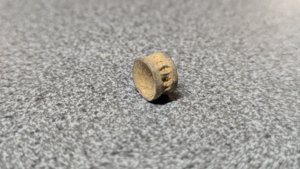 Vertebra - side view