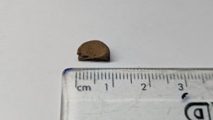 Vertebra - measurement ~0.9cm