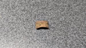 Vertebra - side view