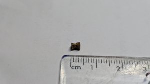 Vertebra - measurement ~0.4cm length