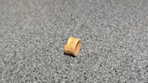 Vertebra - side view