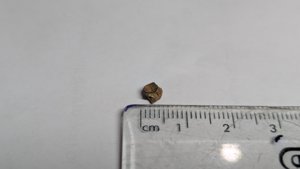 Vertebra - measurement ~0.4cm