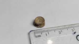 Vertebra - measurement ~0.9cm