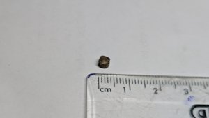 Vertebra - measurement ~0.4cm