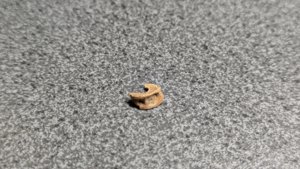 Vertebra, very weathered - side view