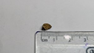 Vertebra, very weathered - measurement ~0.6cm