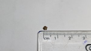 Vertebra, very weathered - measurement ~0.3cm