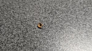 Vertebra, very weathered