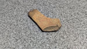 Bone, broken - internal structure visible