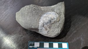Unknown - measurement ~4-5cm